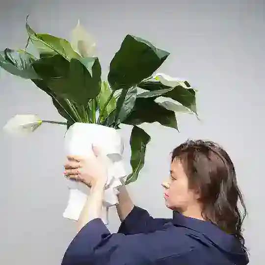 (Не)идеальный город Валерии Савиных