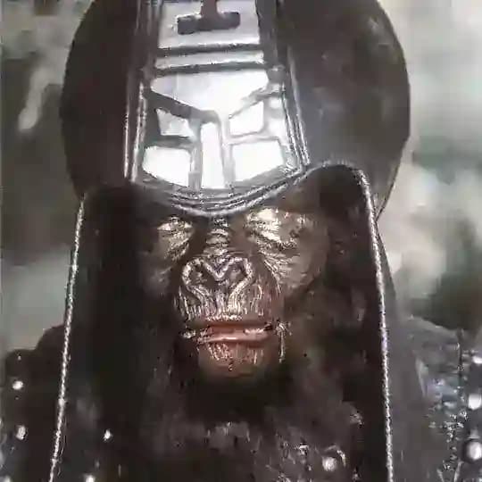 Мой магазин редких вещей