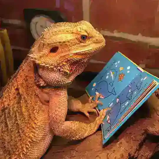 Книжья личность