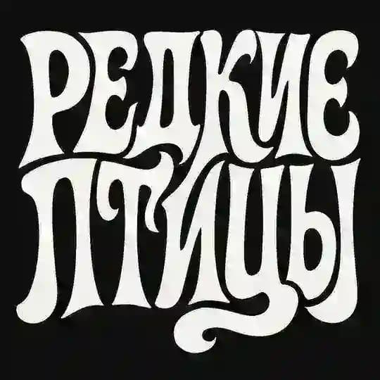 редкие птицы