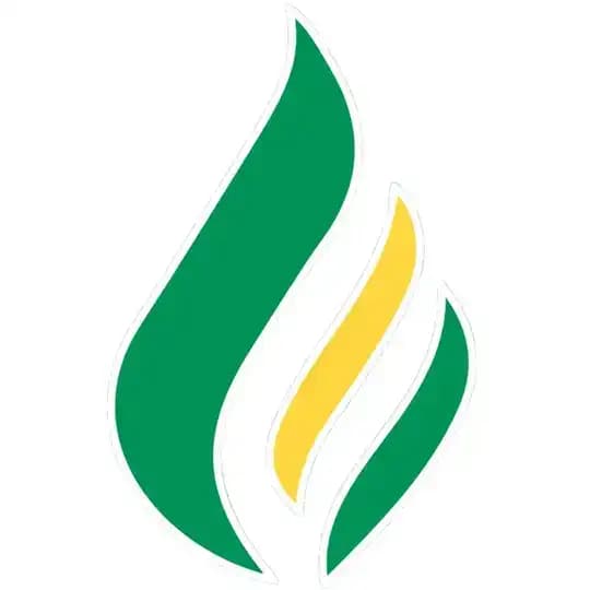 Reignite Democracy