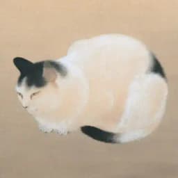 Рэкио 歴男 Profile