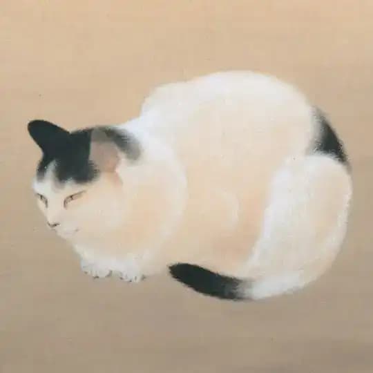 Рэкио 歴男 Profile