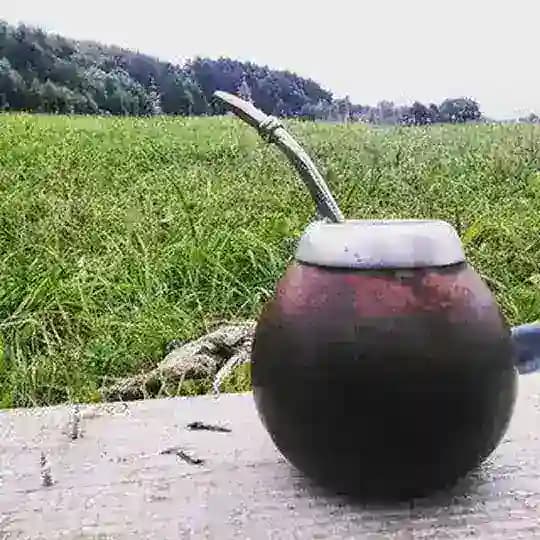 Религиоведение на Богословском факультете