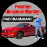 Решэлторъ Красный Мустанг | Блог Алексея Калашникова