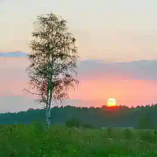 РОДИНА МОЯ
