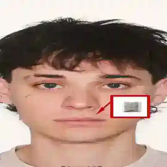 ROLDOZZZER