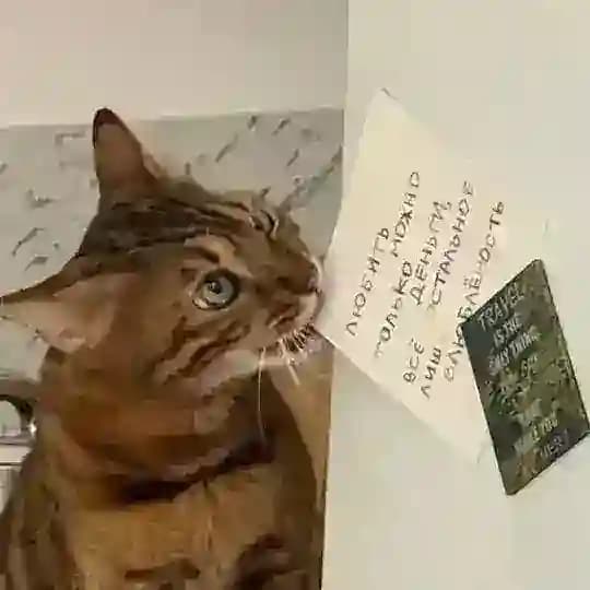 Ритейлить и жить