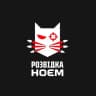 Розвідка Ноєм