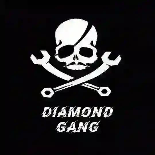 DIAMOND GANG β π΄ββ