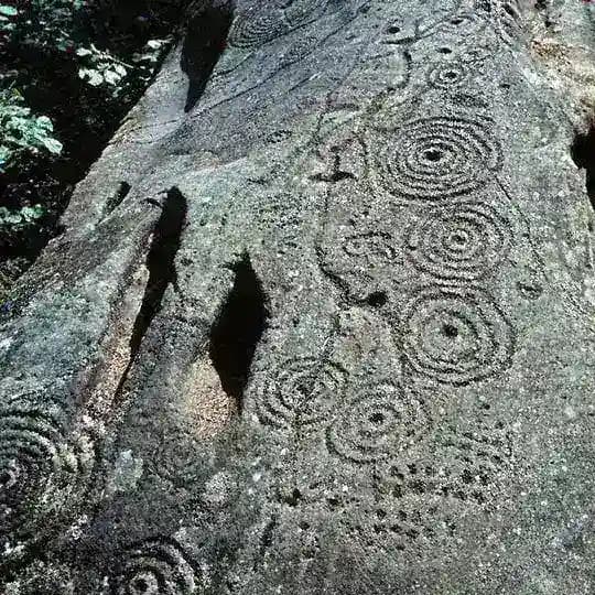 неопалимая купина