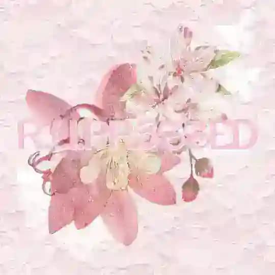 r.u.pr3ssed 𝜗ৎ Profile