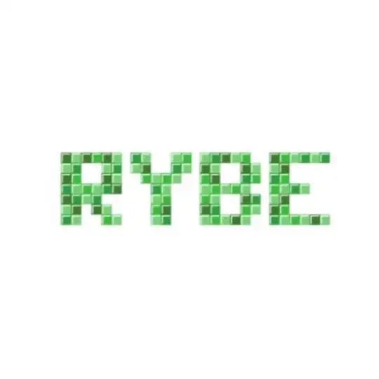 Rybe - DevHoodie