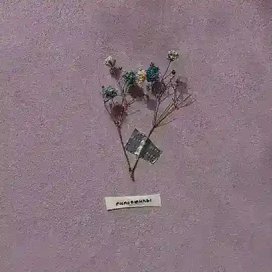 п. Даша Евстефеева