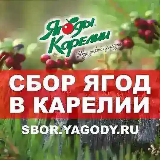 SBOR.YAGODY.RU