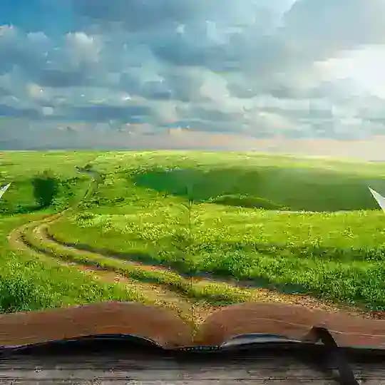 Школа жизни: психология отношений и развития