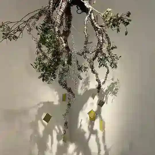 буржуазная наука