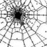 Urban Science