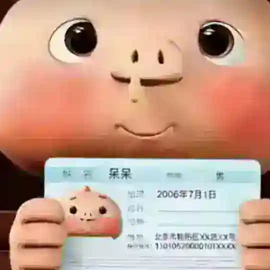 小呆呆数据号（免费数据号） Profile