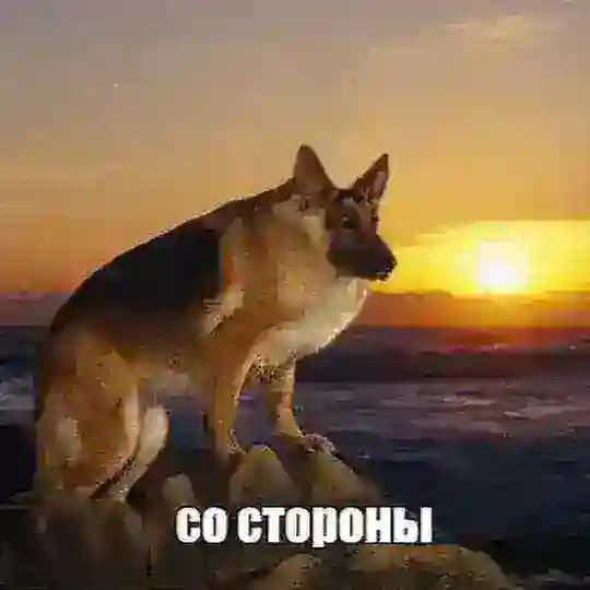 со стороны
