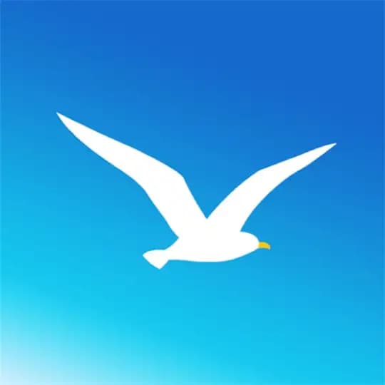 海鸥支持（Seagull Support）