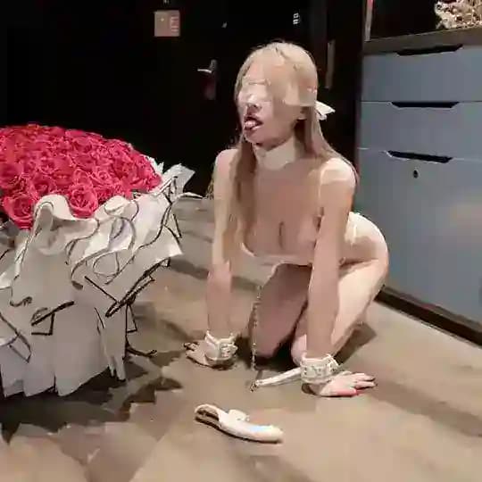 全网性爱研究所
