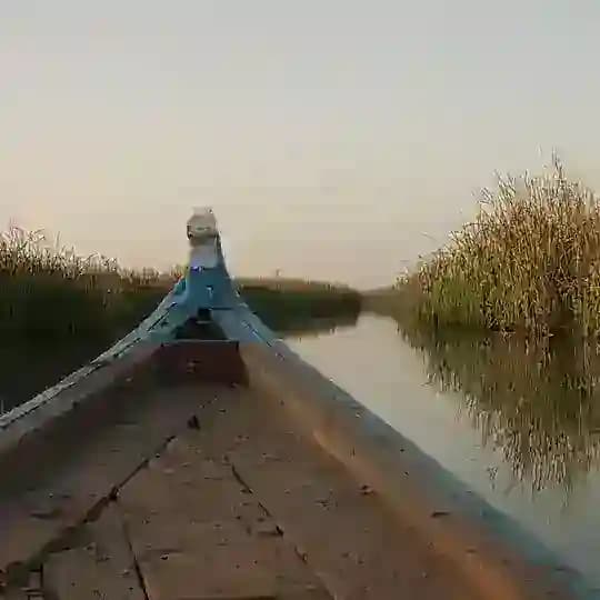 Sealand Iraq