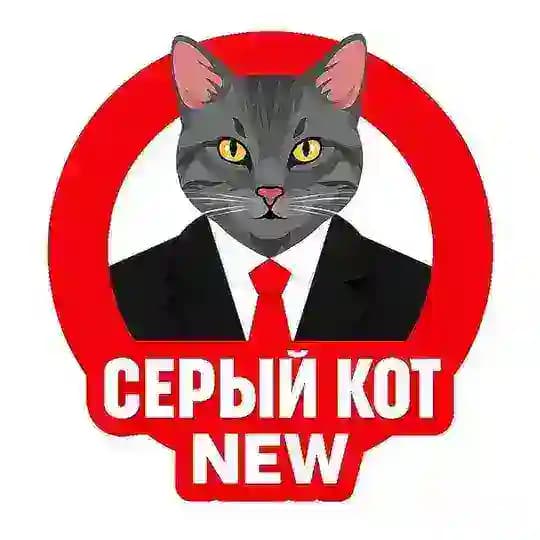 Серый Кот🐈‍⬛ NEW