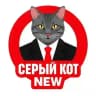 Серый Кот🐈‍⬛ NEW