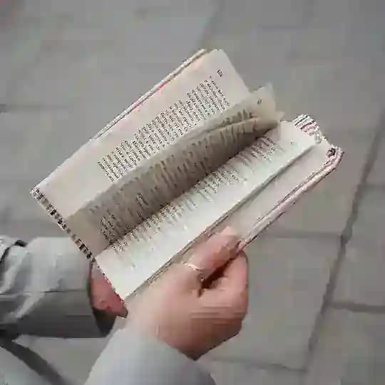 Почитатели