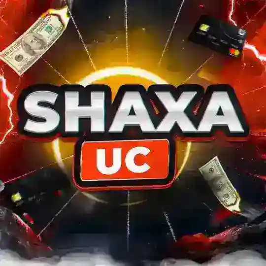 SHAXA Halol/отзыв