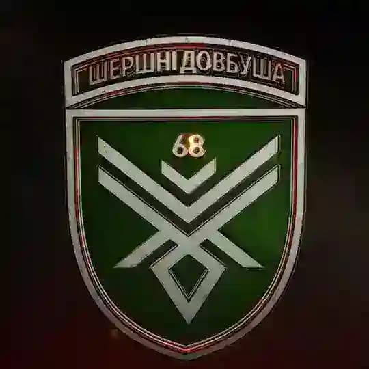Шершні Довбуша 🐝💣