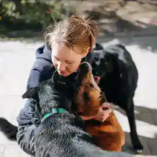 Шерстяная семья