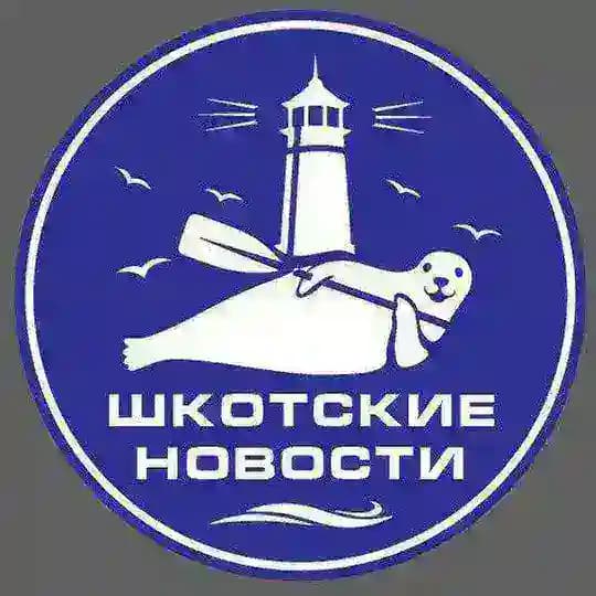 Шкота новости