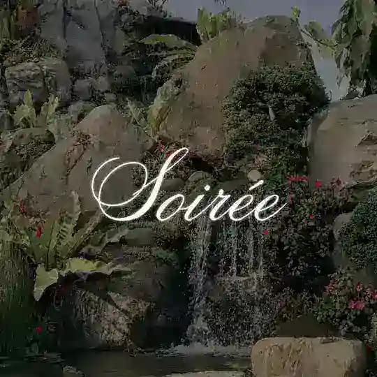 Soirée