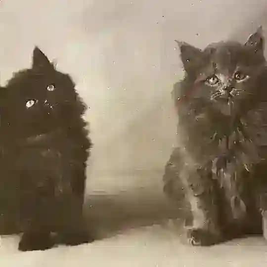 Шовинисты из Ласточки