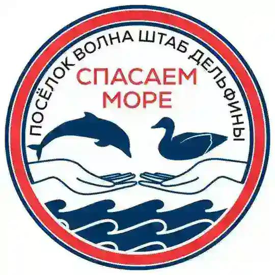 Штаб "Дельфины" Спасаем море. п.Волна🐬 Новости "Центр Развития Культуры и Инноваций"
