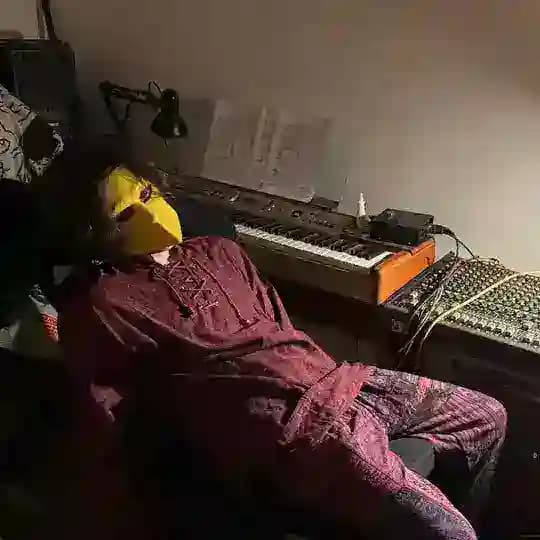 оперение жёлтого