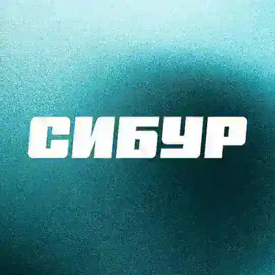Карьера в СИБУРе
