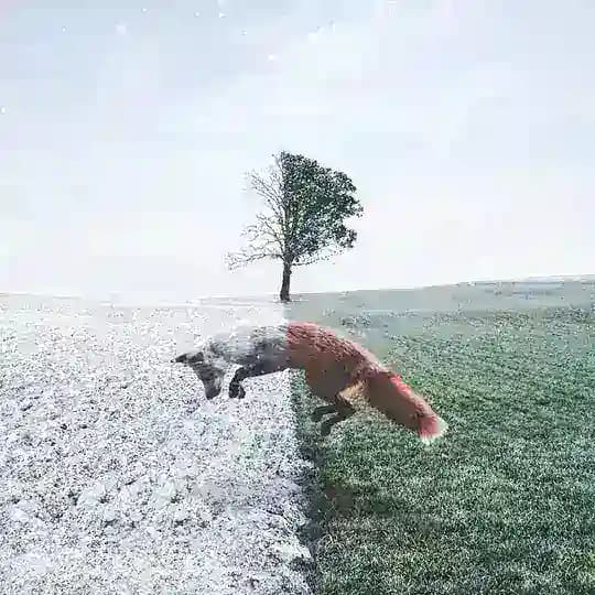 Сиди переводи