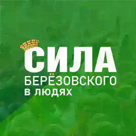Берёзовский. Сила_БГО (Свердловская область)