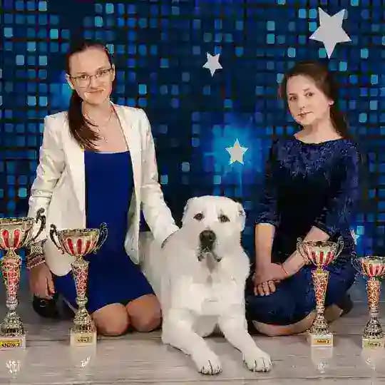 Хендлеры Владивостока 🏆