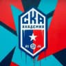 Академия СКА Ростов-на-Дону