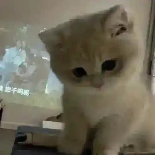 сладкое послание
