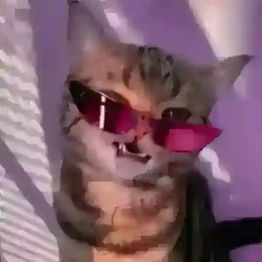 sleeeeepus