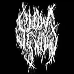 SlowSnowrecords Profile