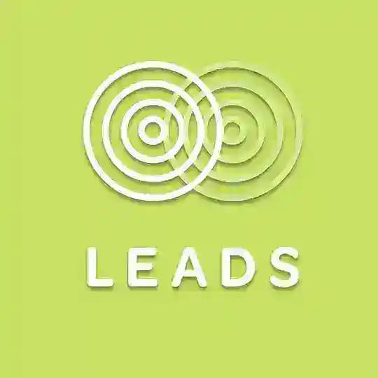 SMM LEADS
