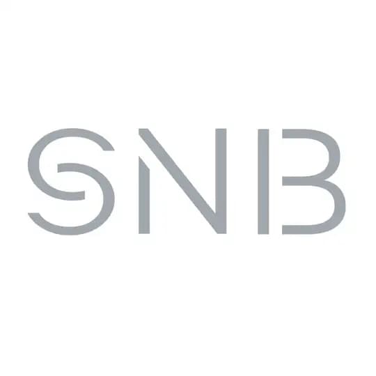 snb_expert