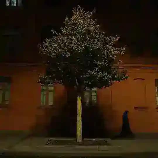 Настины кадры