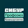 Профсоюз Казаньоргсинтез